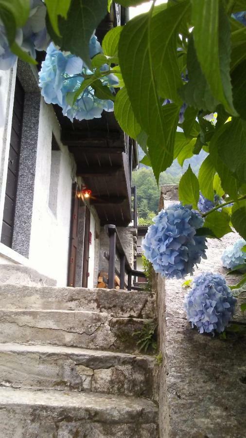 Вілла Casa Zizi Кродо Екстер'єр фото